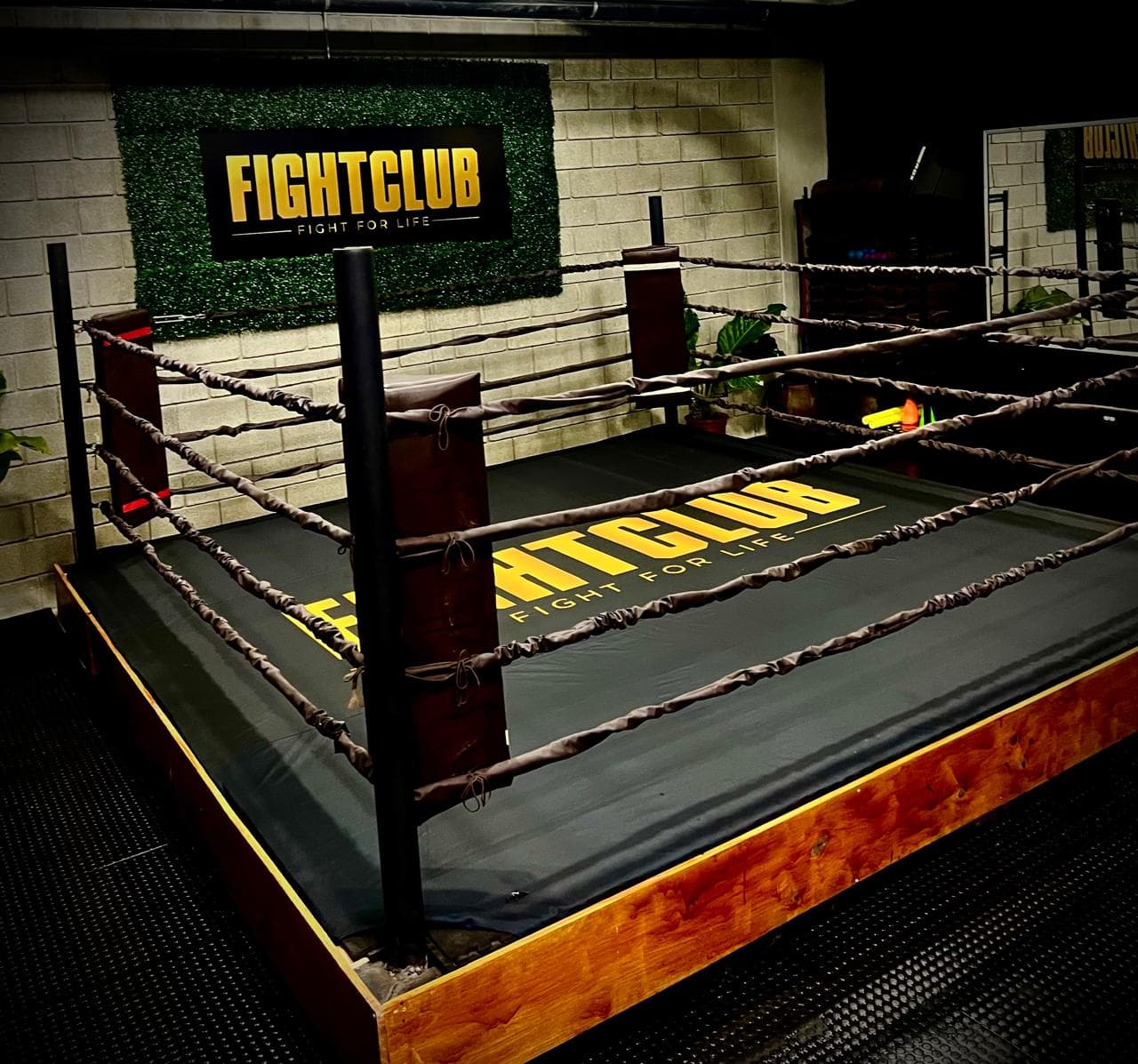 Ring de Fight Club CR